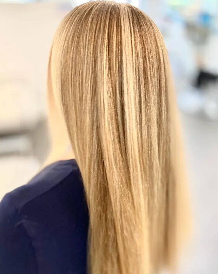 Very long straight hair with honey blonde highlights, seen from behind.