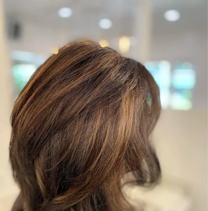 Layered brunette hair with caramel highlights, seen from behind.